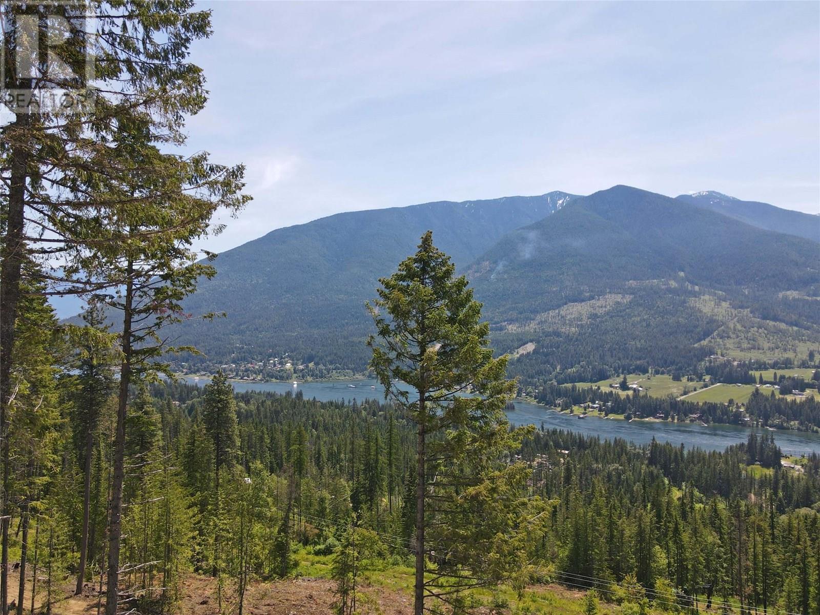 Dl 7620 Rogers Road, Balfour, British Columbia  V1L 6S6 - Photo 3 - 10351696