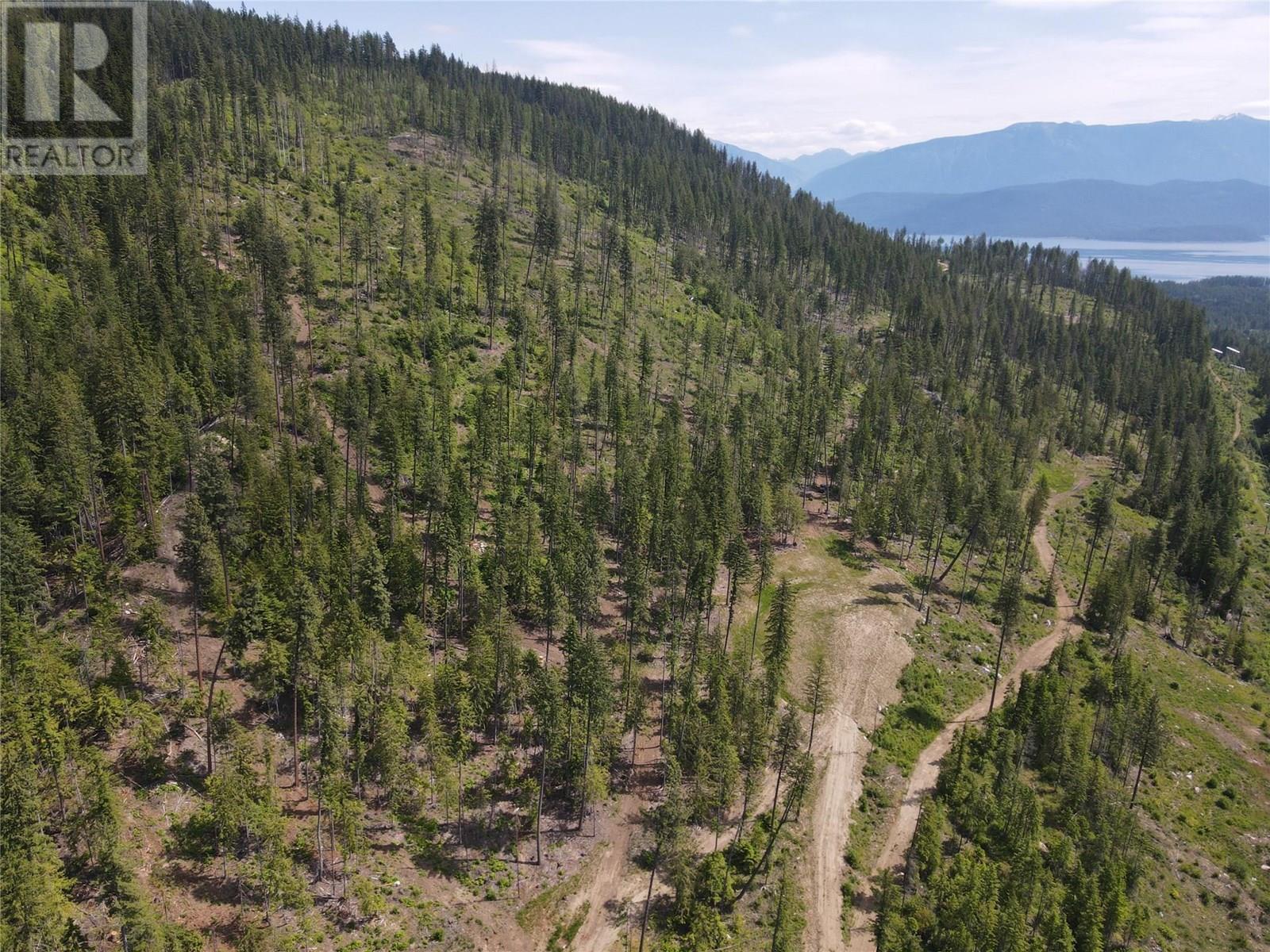 Dl 7620 Rogers Road, Balfour, British Columbia  V1L 6S6 - Photo 6 - 10351696