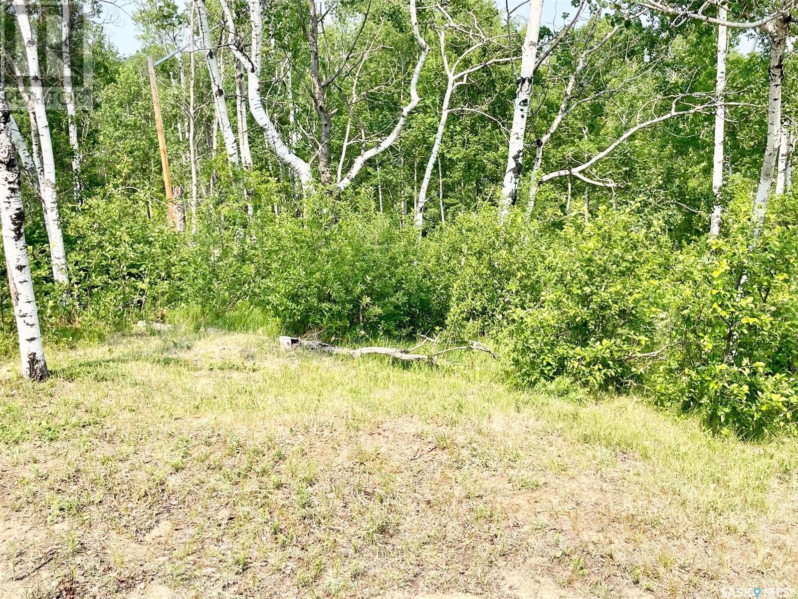 Sandy Crescent, Good Spirit Lake, Saskatchewan  S0A 0L0 - Photo 24 - SK009045