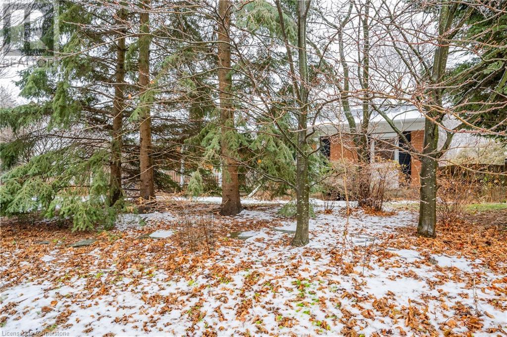 348 Forest Hill Drive Unit# Main, Kitchener, Ontario  N2M 4H2 - Photo 4 - 40739541
