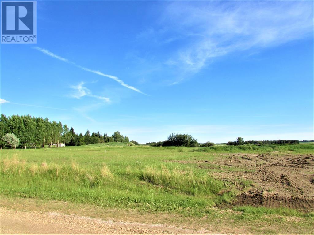 207 Gregory Street, New Norway, Alberta  T0B 3L0 - Photo 6 - A2227368