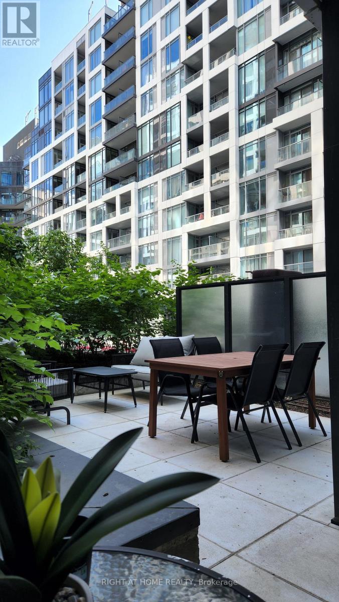 210 - 576 Front Street W, Toronto, Ontario  M5V 0P8 - Photo 2 - C12210585