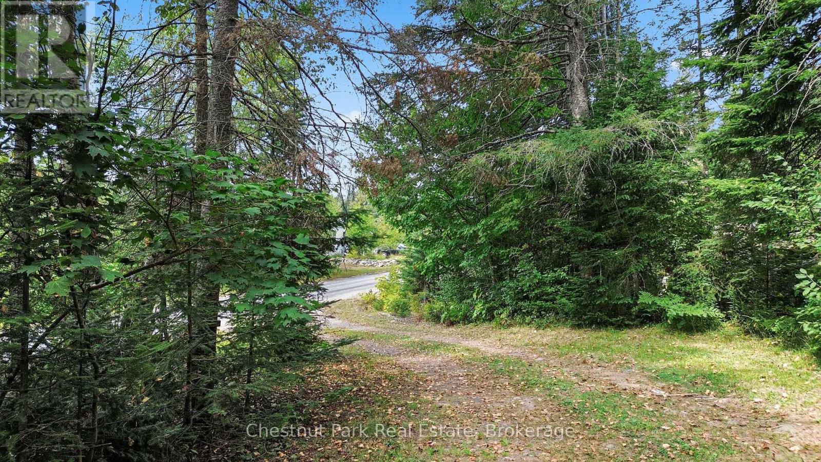580 Echo Ridge Road, Kearney, Ontario  P0A 1M0 - Photo 4 - X12211378