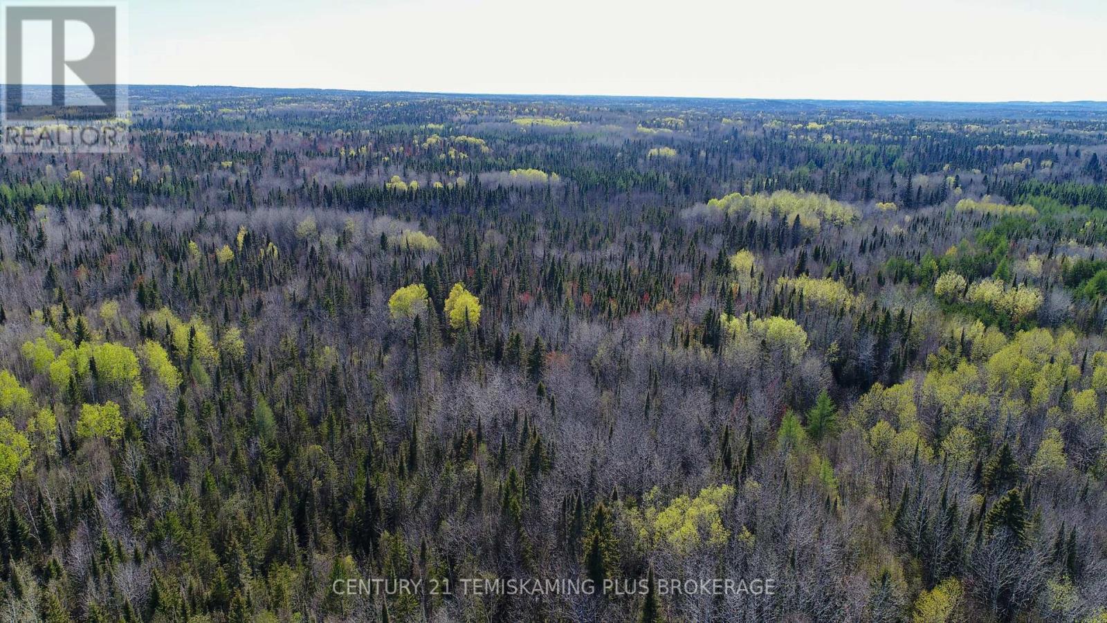 Pc13528 624 Highway, Larder Lake, Ontario  P0K 1L0 - Photo 21 - T12176214