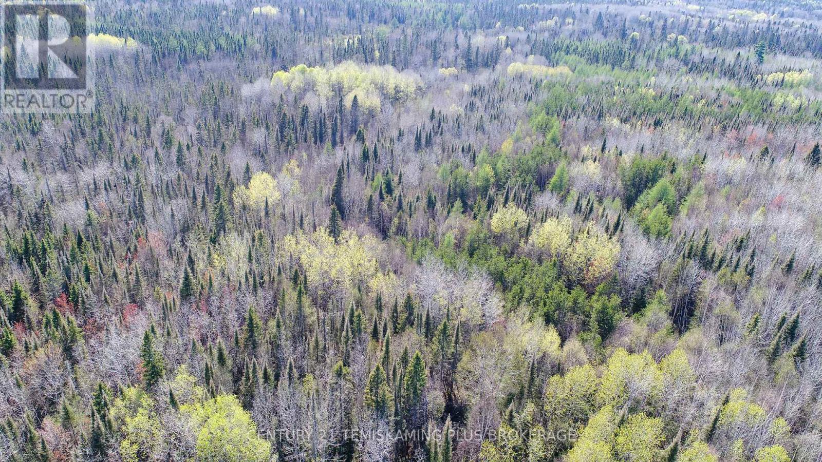 Pc13528 624 Highway, Larder Lake, Ontario  P0K 1L0 - Photo 22 - T12176214