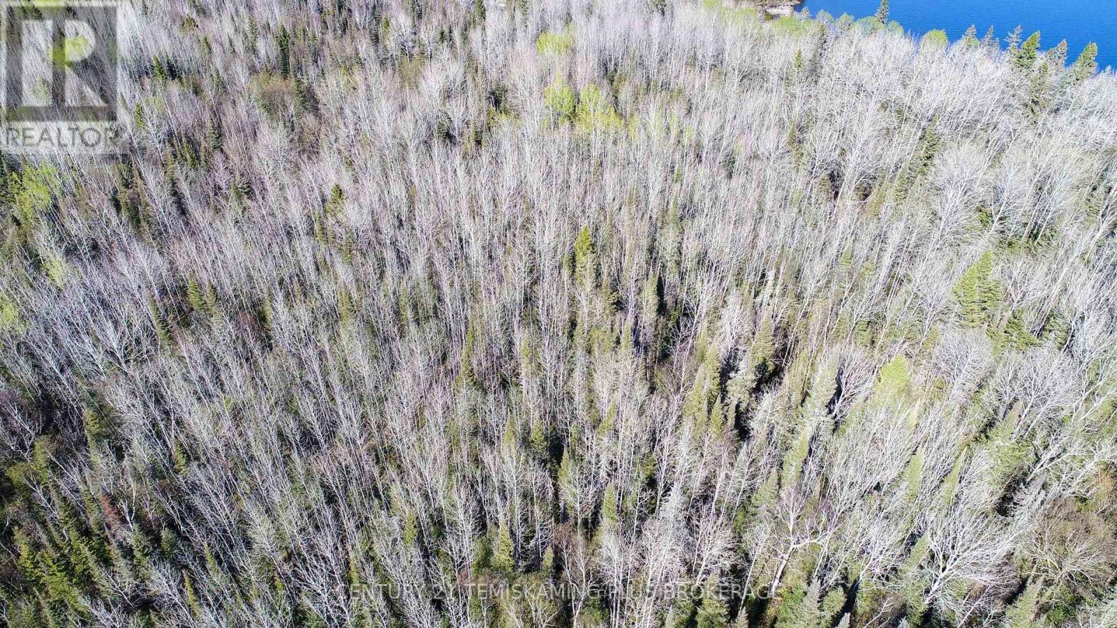 Pc13528 624 Highway, Larder Lake, Ontario  P0K 1L0 - Photo 28 - T12176214