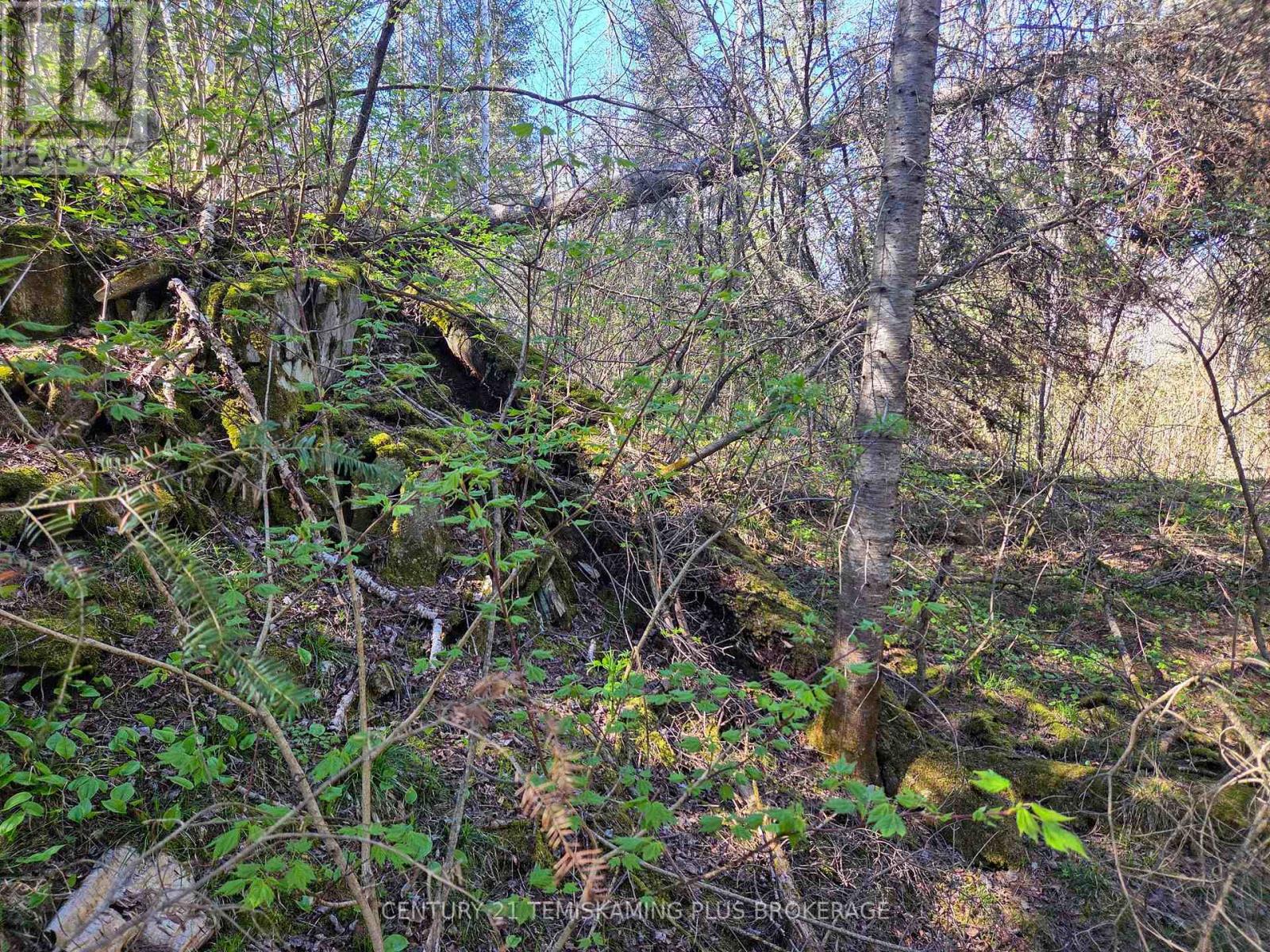 Pc13528 624 Highway, Larder Lake, Ontario  P0K 1L0 - Photo 40 - T12176214