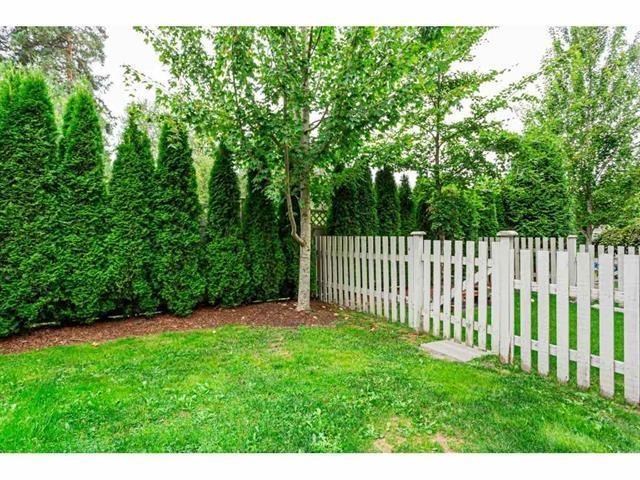 64 19097 64 Avenue, Surrey, British Columbia  V3S 6X5 - Photo 31 - R3014028