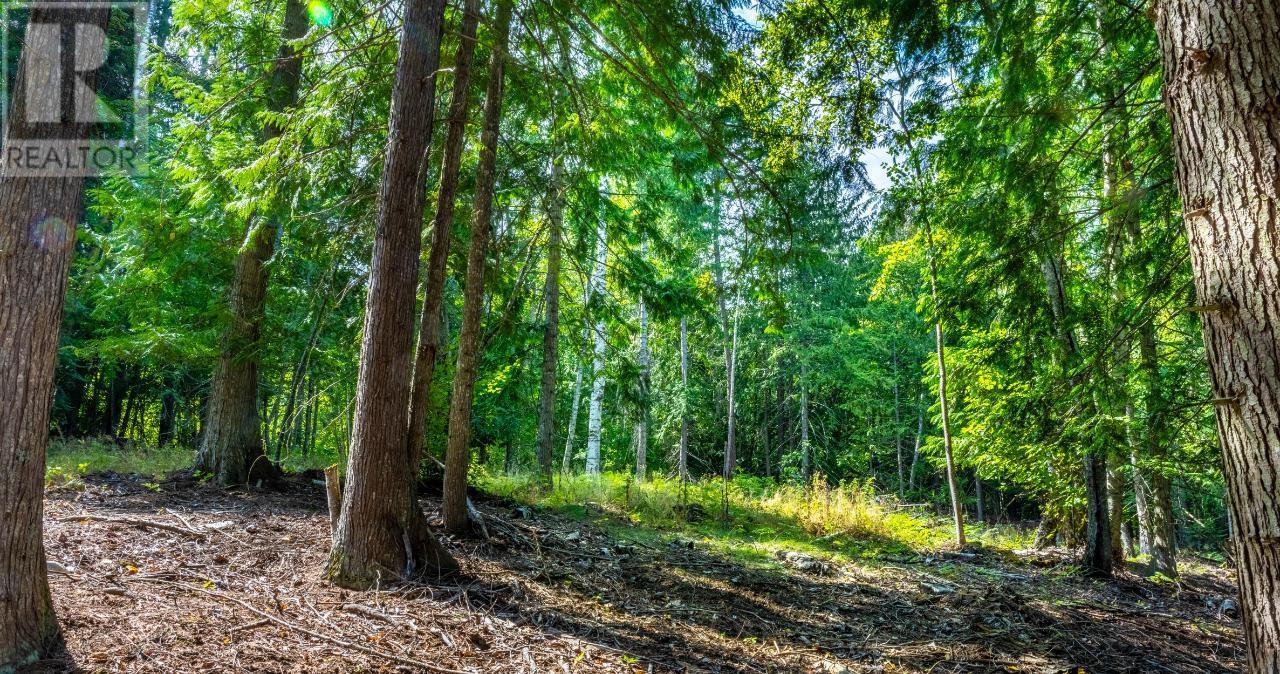 Lot 3 Simmons Road, Creston, British Columbia  V0B 1G7 - Photo 3 - 10336755
