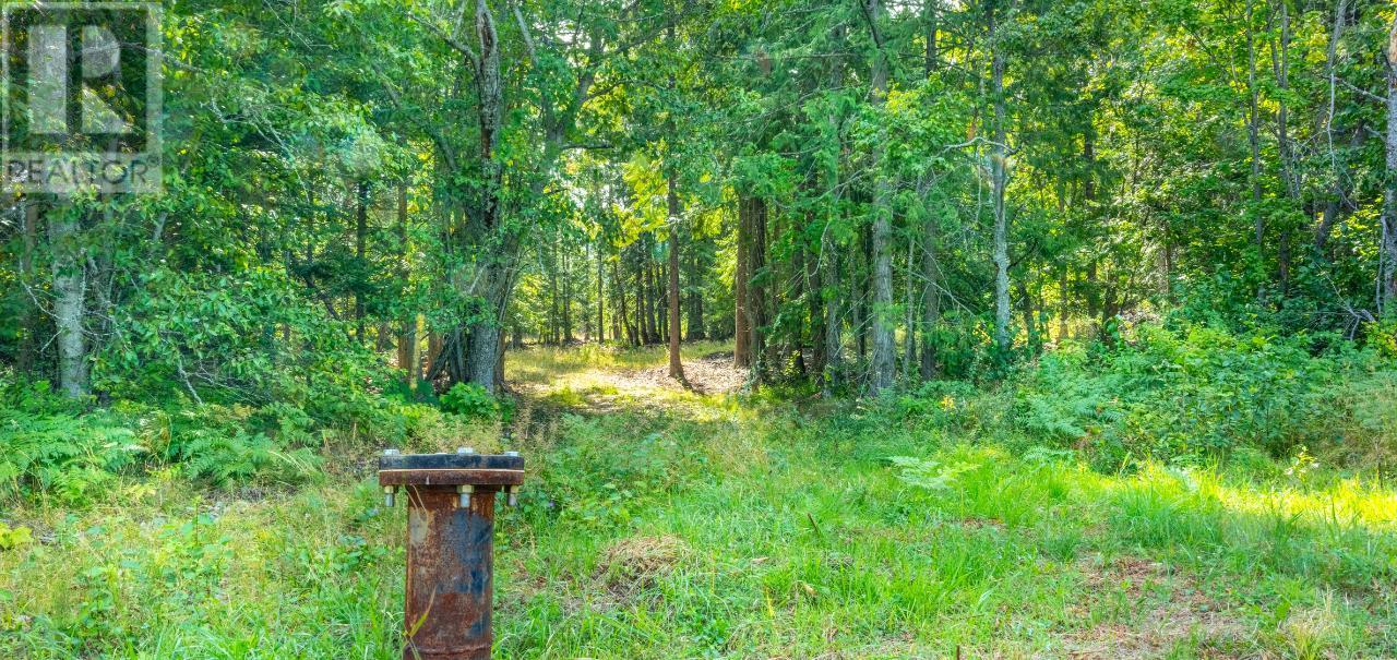 Lot 3 Simmons Road, Creston, British Columbia  V0B 1G7 - Photo 6 - 10336755