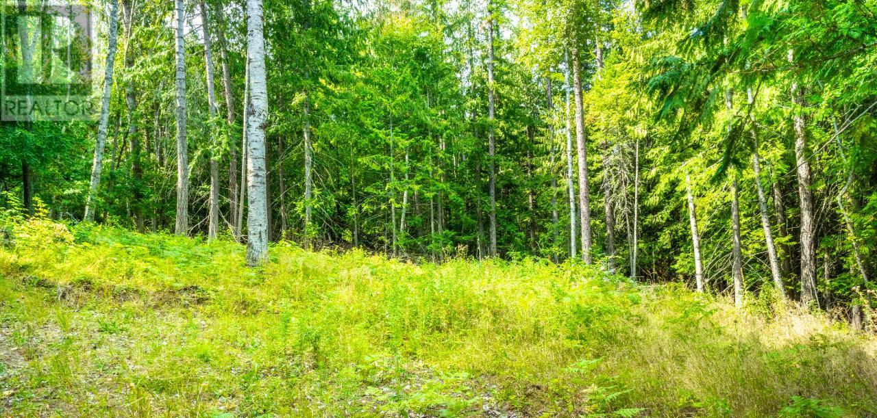 Lot 3 Simmons Road, Creston, British Columbia  V0B 1G7 - Photo 4 - 10336755