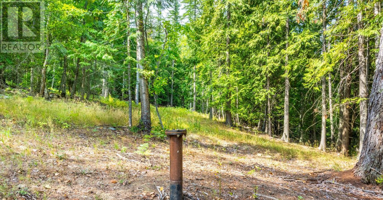 Lot 3 Simmons Road, Creston, British Columbia  V0B 1G7 - Photo 2 - 10336755
