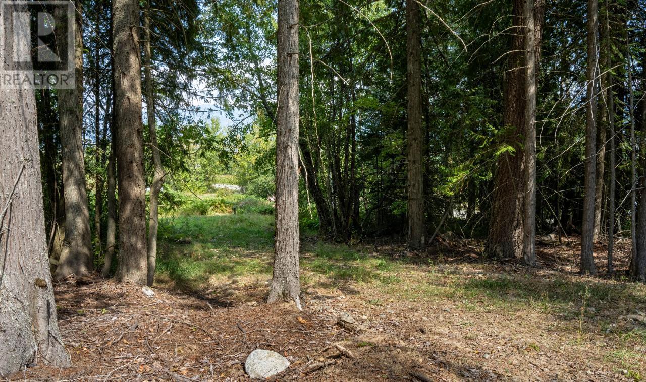 Lot 3 Simmons Road, Creston, British Columbia  V0B 1G7 - Photo 5 - 10336755