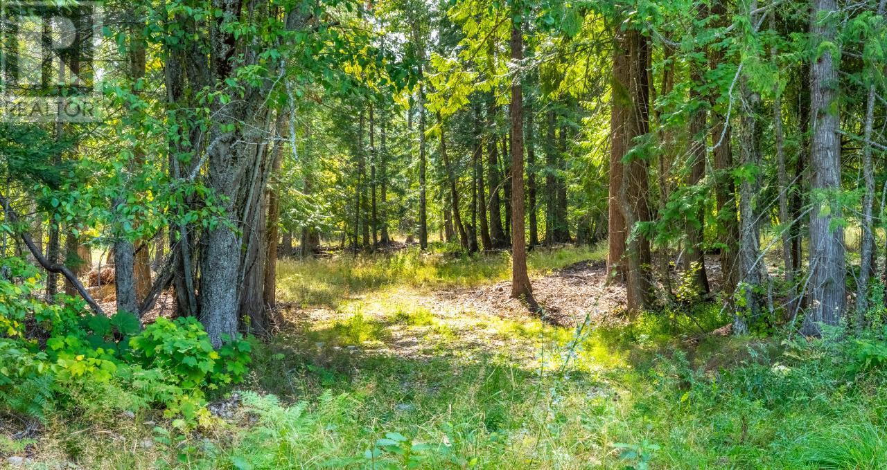 Lot 3 Simmons Road, Creston, British Columbia  V0B 1G7 - Photo 7 - 10336755