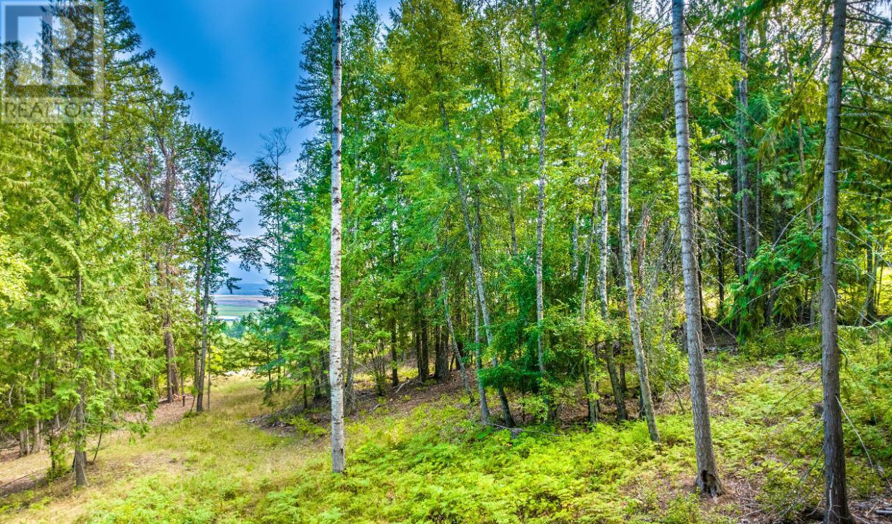 Lot 3 Simmons Road, Creston, British Columbia  V0B 1G7 - Photo 10 - 10336755