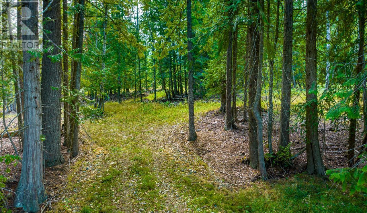 Lot 3 Simmons Road, Creston, British Columbia  V0B 1G7 - Photo 9 - 10336755