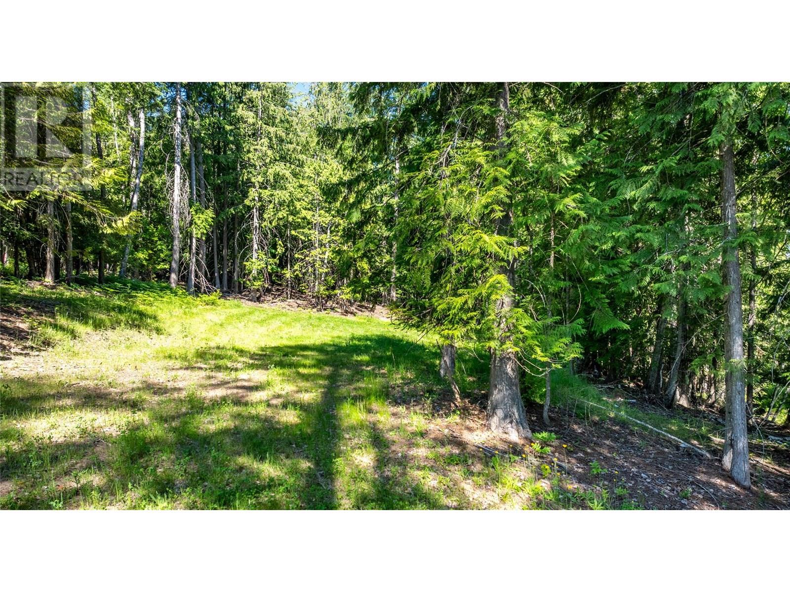 Lot 3 Simmons Road, Creston, British Columbia  V0B 1G7 - Photo 18 - 10336755