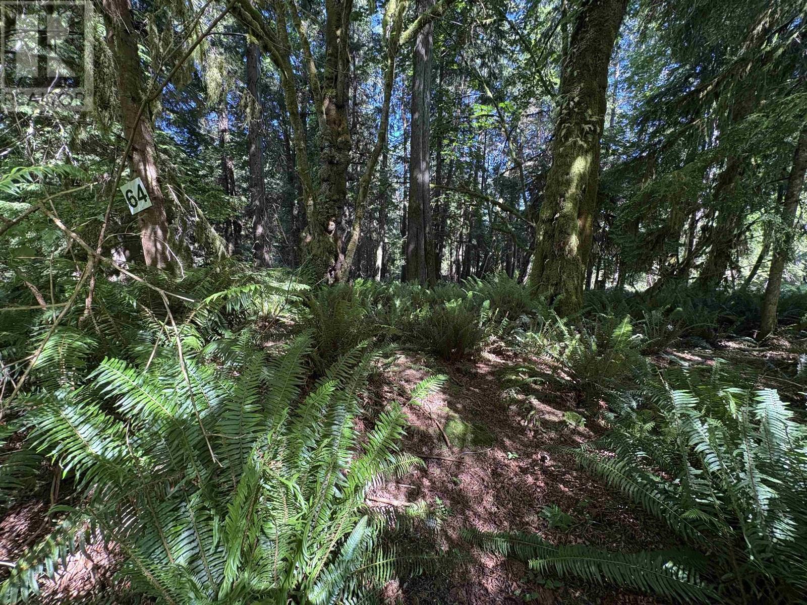 Lot 64 984 West Bay Road, Gambier Island, British Columbia  V0N 1V0 - Photo 10 - R3014128