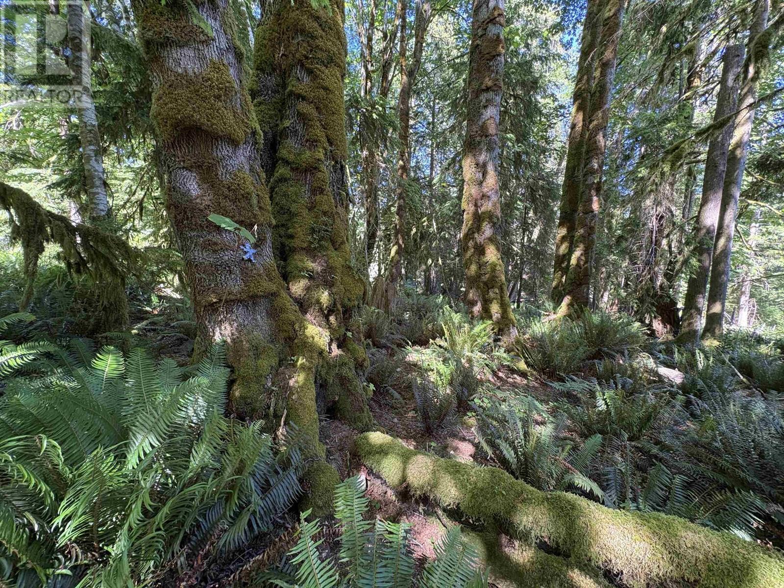 Lot 64 984 West Bay Road, Gambier Island, British Columbia  V0N 1V0 - Photo 3 - R3014128