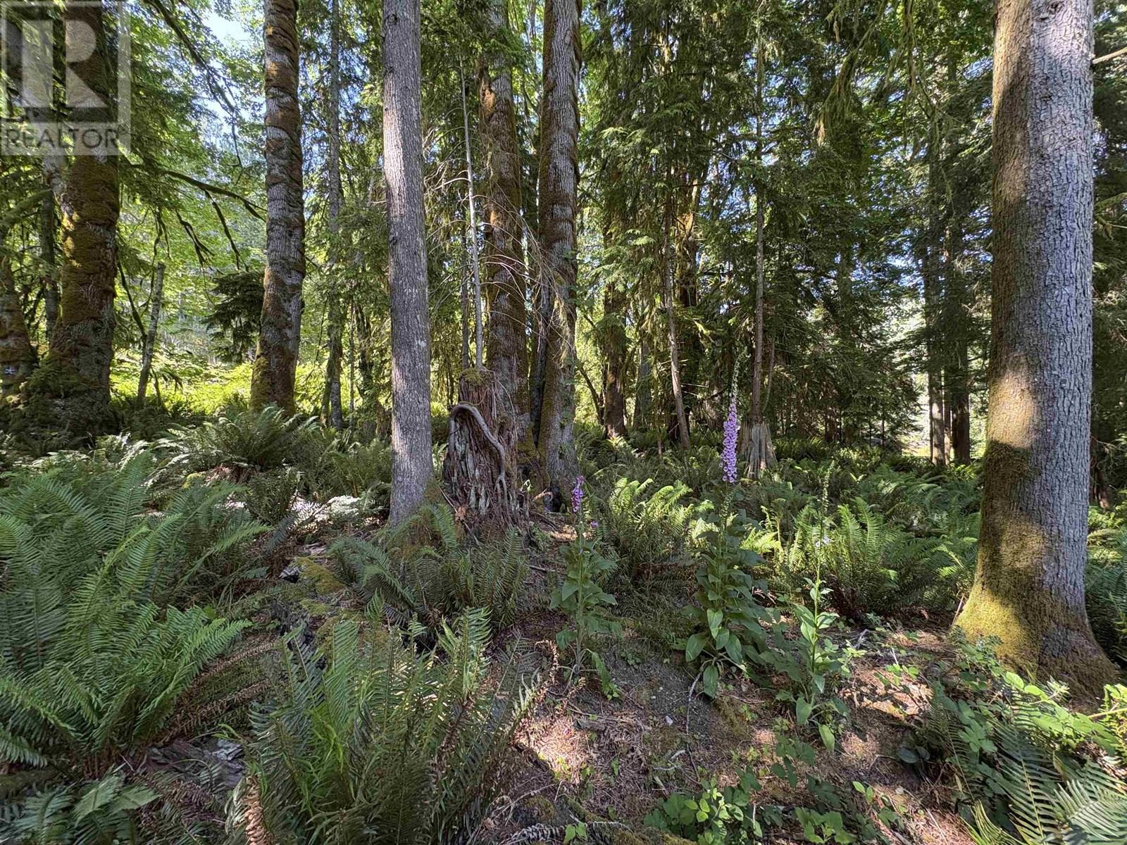 Lot 64 984 West Bay Road, Gambier Island, British Columbia  V0N 1V0 - Photo 4 - R3014128