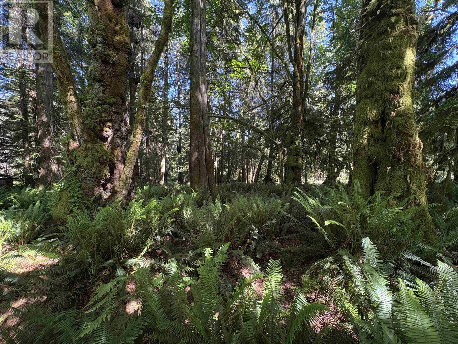 Lot 64 984 West Bay Road, Gambier Island, British Columbia  V0N 1V0 - Photo 6 - R3014128