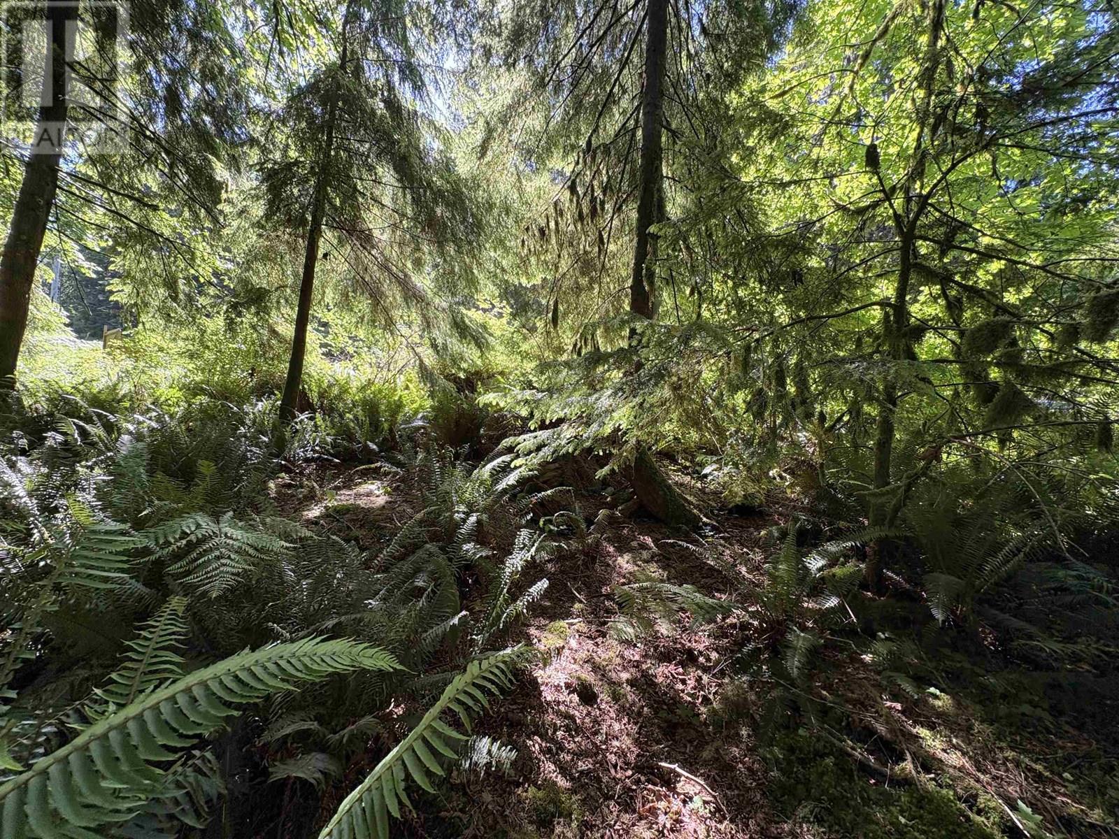 Lot 64 984 West Bay Road, Gambier Island, British Columbia  V0N 1V0 - Photo 7 - R3014128