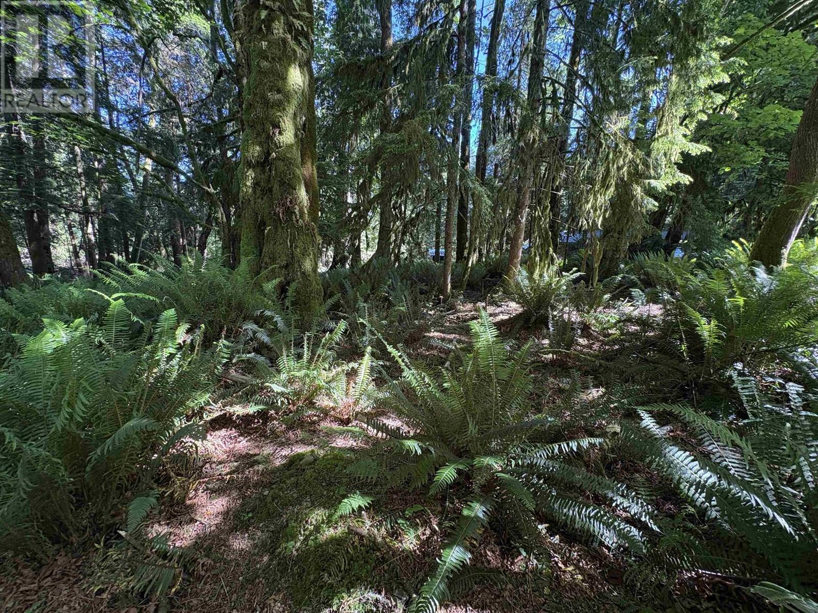 Lot 64 984 West Bay Road, Gambier Island, British Columbia  V0N 1V0 - Photo 9 - R3014128