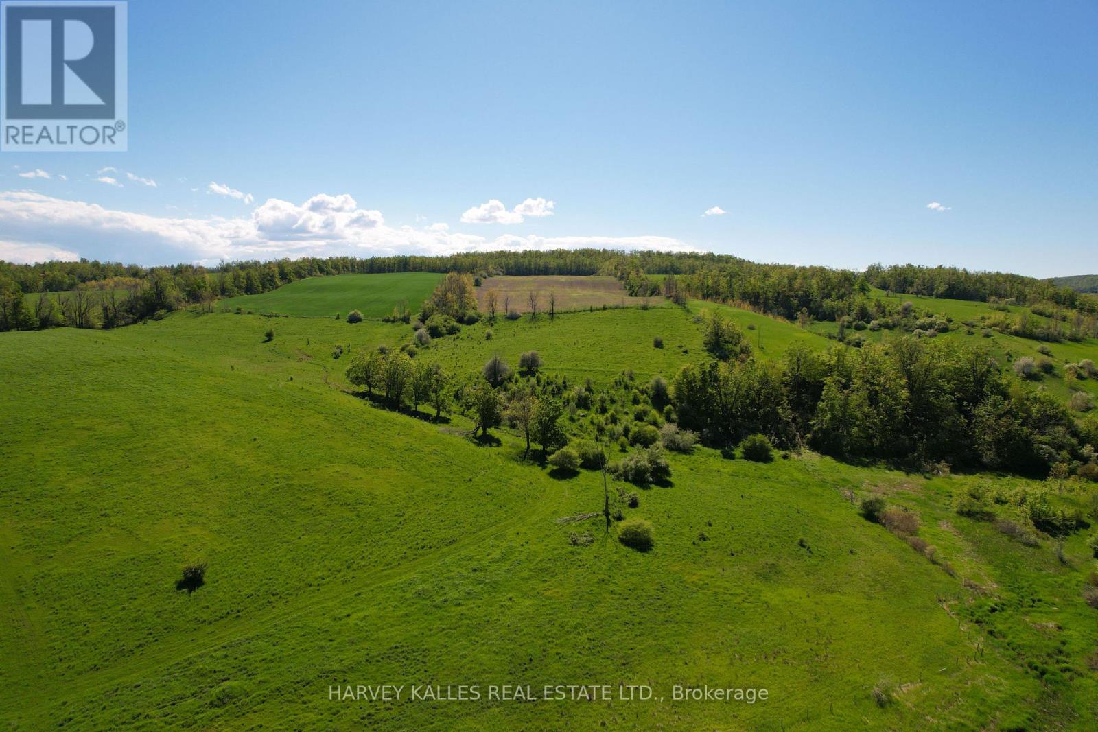 2826 Concession 8 Nottawasaga Glen Huron Road, Clearview, Ontario  L0M 1L0 - Photo 46 - S12211626