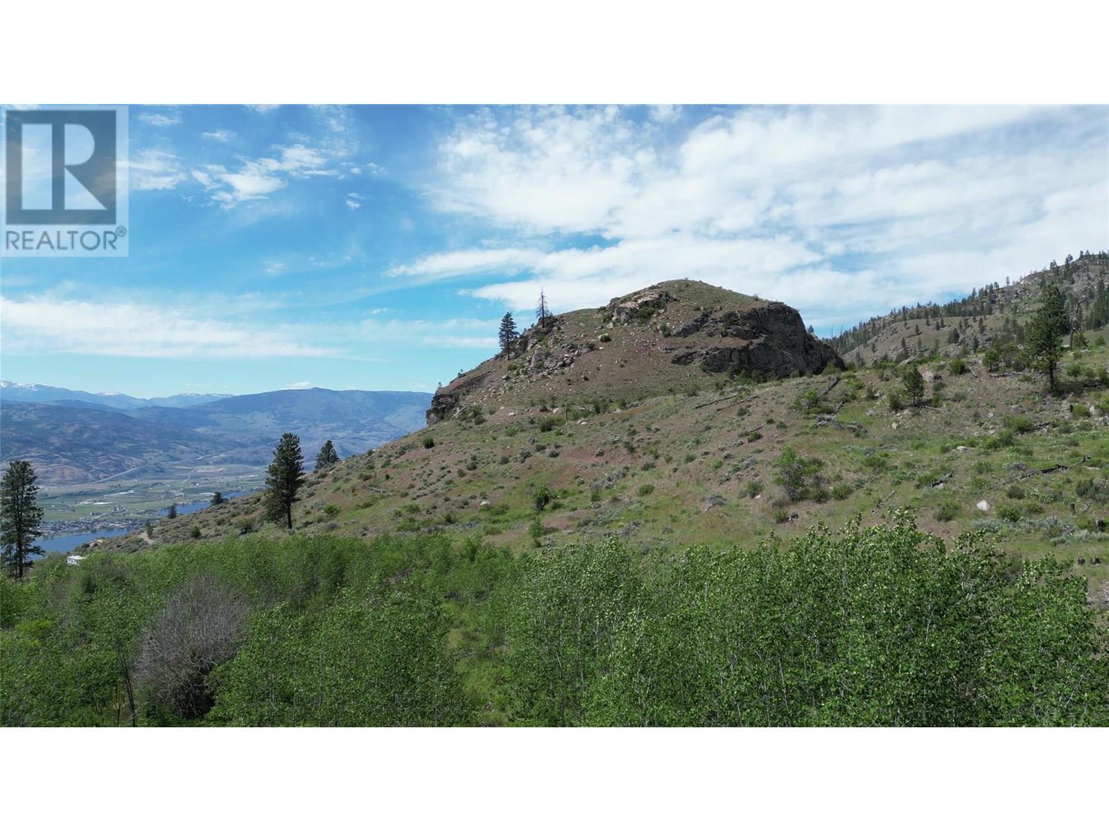 389 Chapman Road, Osoyoos, British Columbia  V0H 1V6 - Photo 4 - 10351073