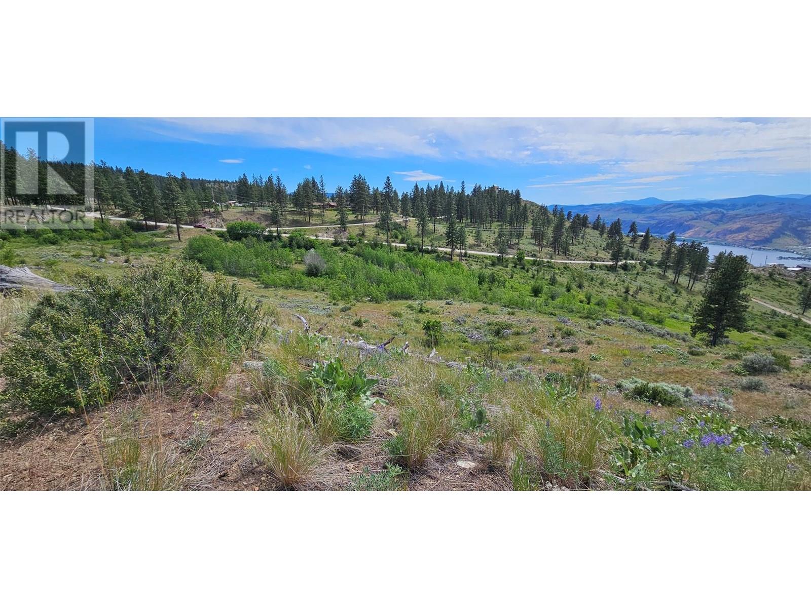 389 Chapman Road, Osoyoos, British Columbia  V0H 1V6 - Photo 10 - 10351073