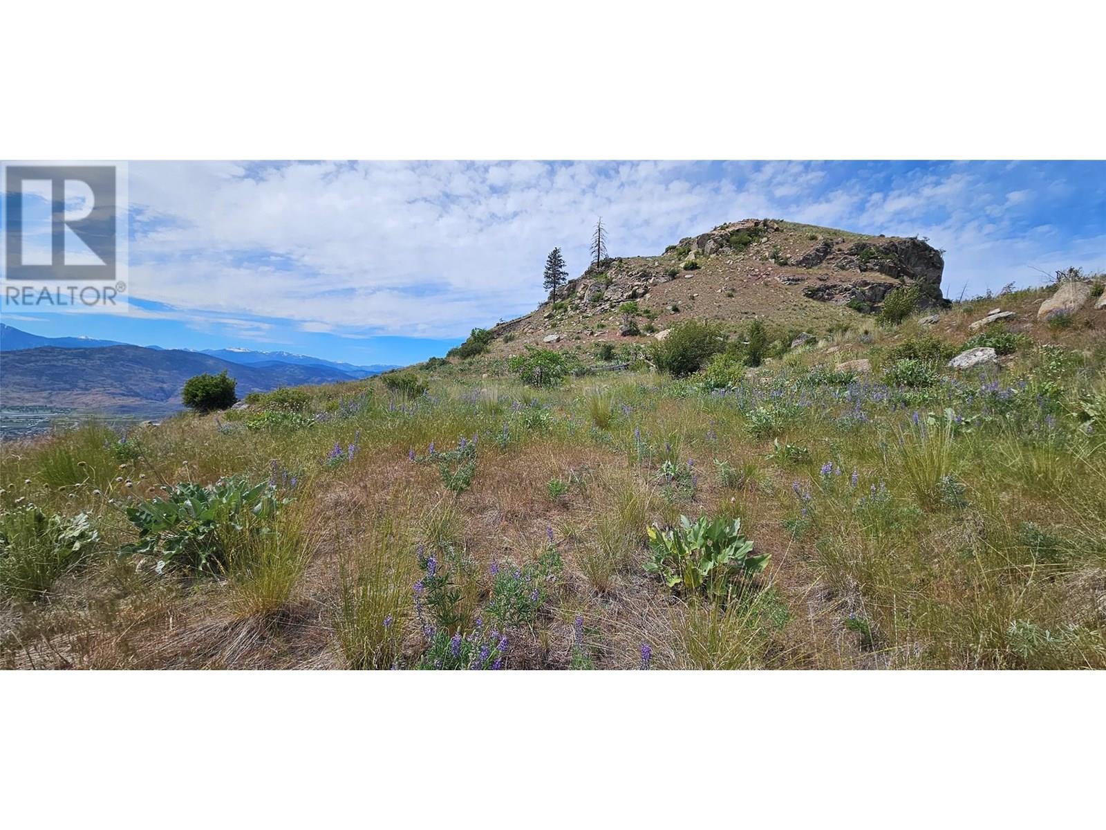 389 Chapman Road, Osoyoos, British Columbia  V0H 1V6 - Photo 5 - 10351073
