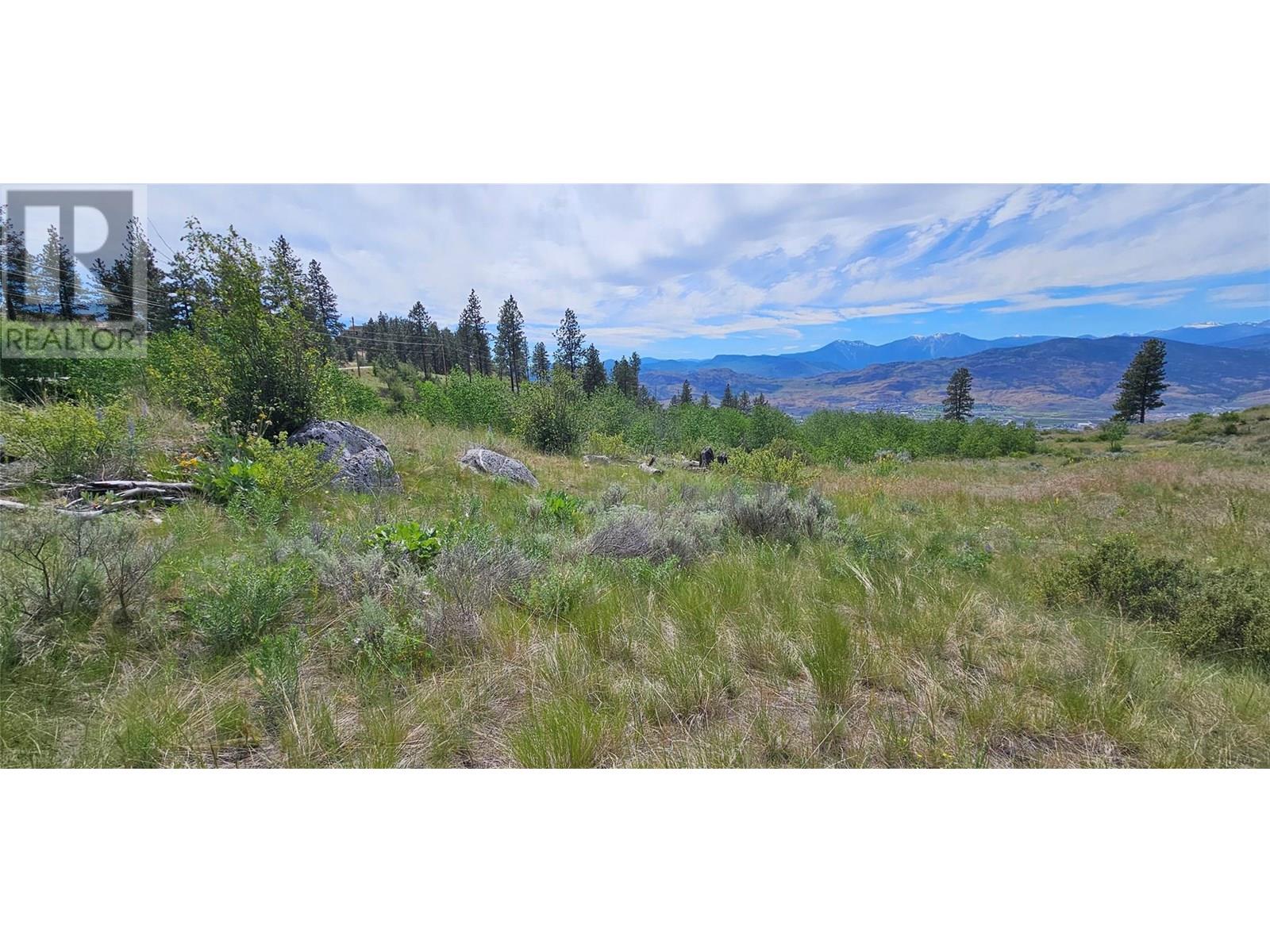 389 Chapman Road, Osoyoos, British Columbia  V0H 1V6 - Photo 3 - 10351073