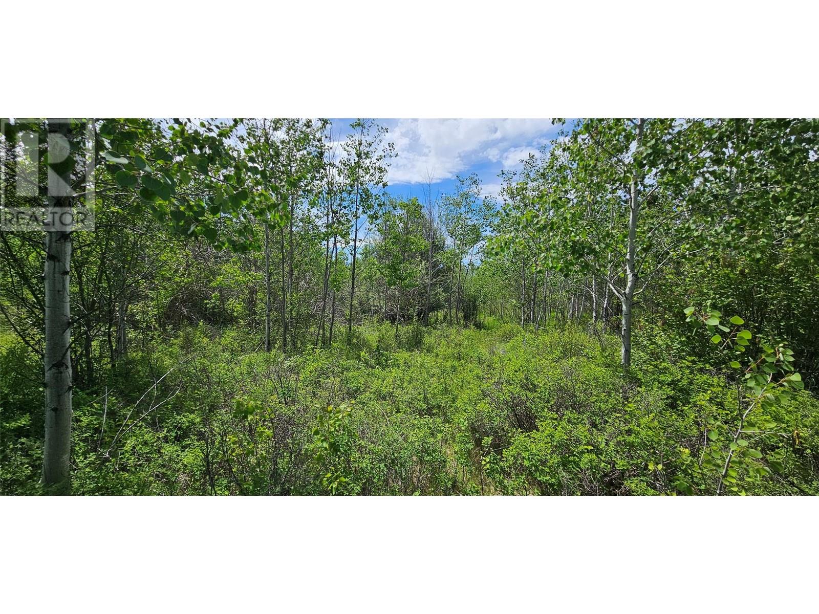 389 Chapman Road, Osoyoos, British Columbia  V0H 1V6 - Photo 8 - 10351073