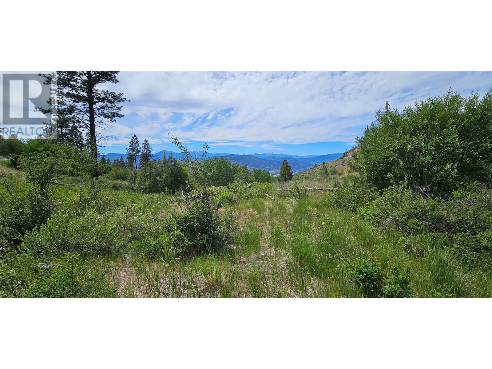 389 Chapman Road, Osoyoos, British Columbia  V0H 1V6 - Photo 9 - 10351073