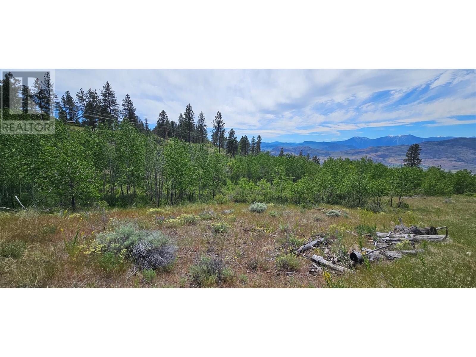 389 Chapman Road, Osoyoos, British Columbia  V0H 1V6 - Photo 7 - 10351073