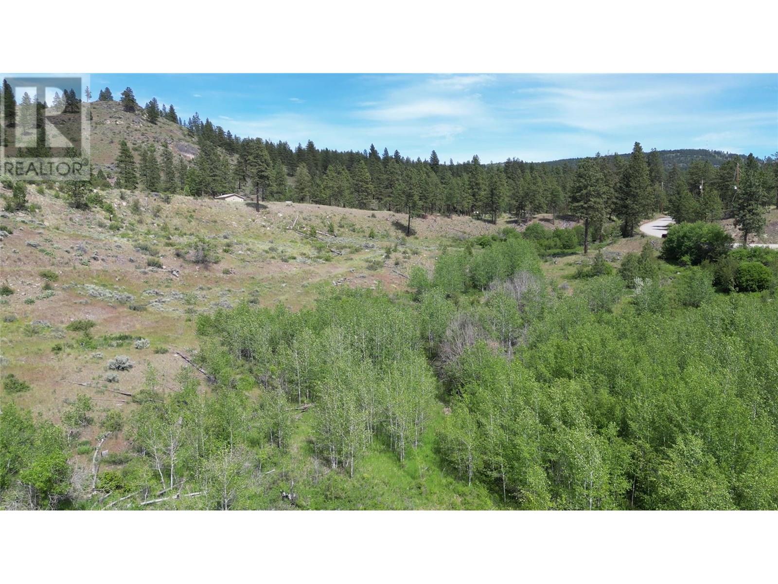 389 Chapman Road, Osoyoos, British Columbia  V0H 1V6 - Photo 20 - 10351073
