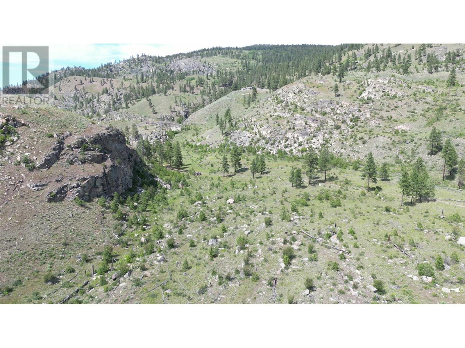389 Chapman Road, Osoyoos, British Columbia  V0H 1V6 - Photo 16 - 10351073