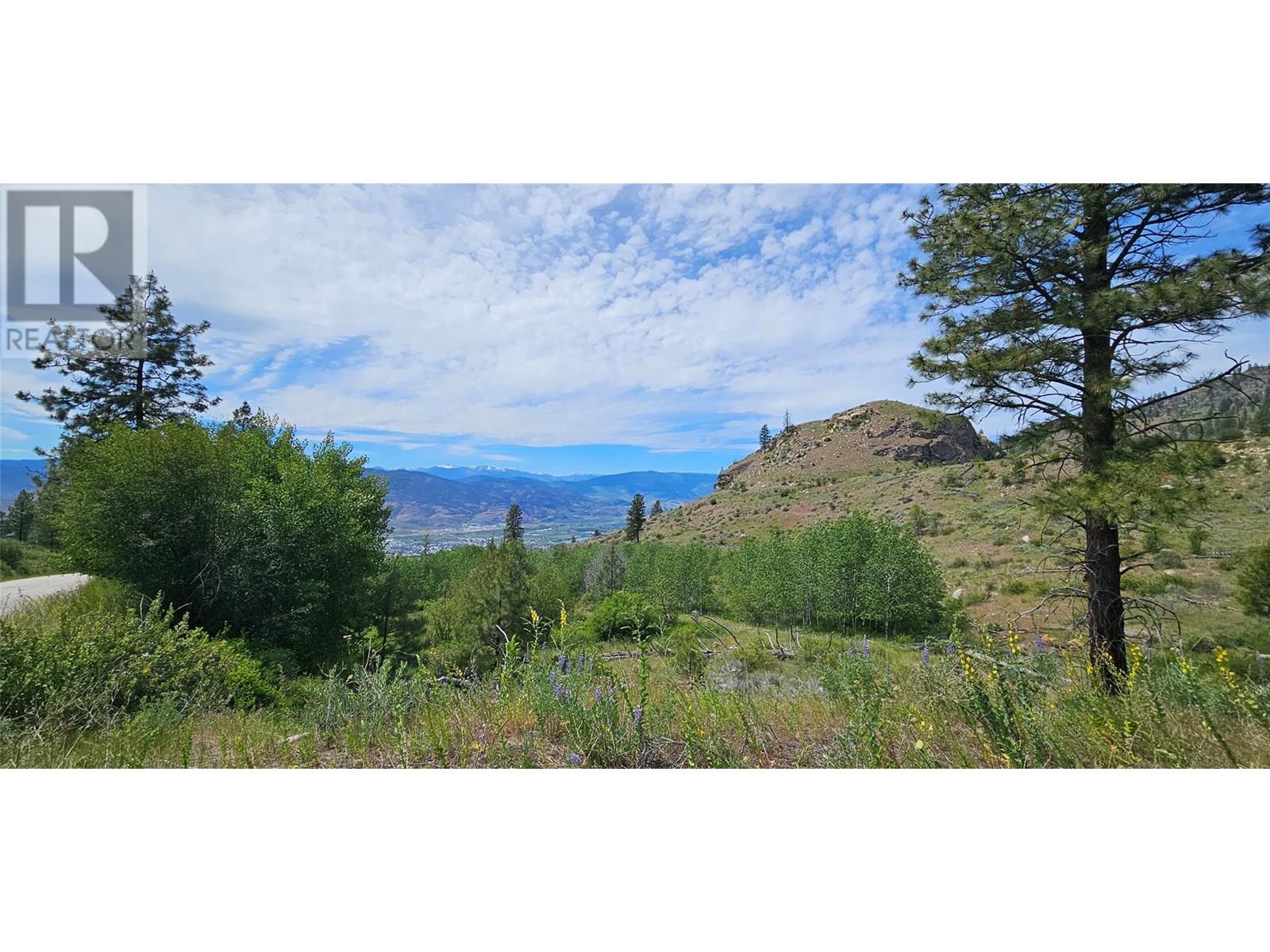 389 Chapman Road, Osoyoos, British Columbia  V0H 1V6 - Photo 12 - 10351073