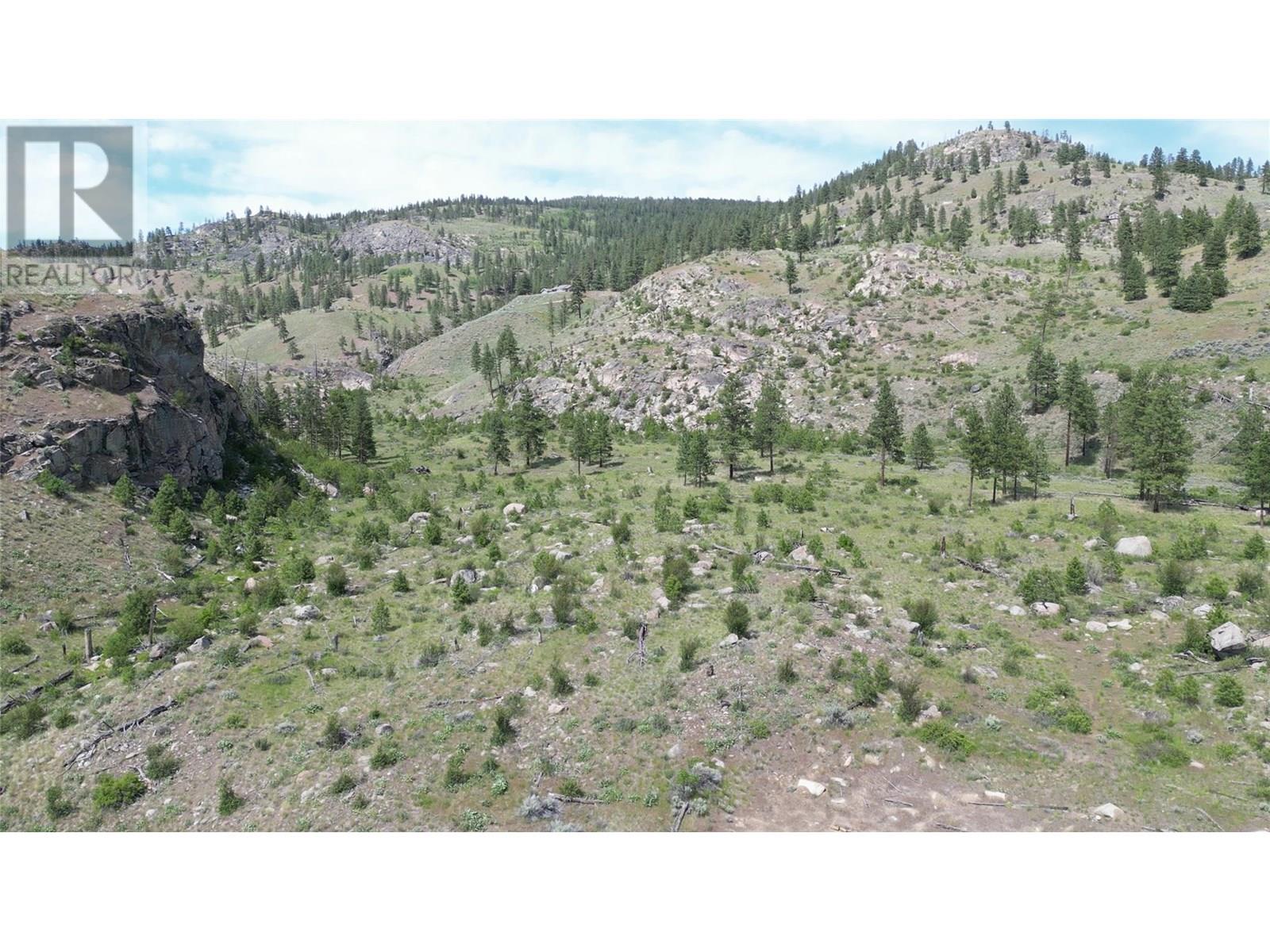 389 Chapman Road, Osoyoos, British Columbia  V0H 1V6 - Photo 17 - 10351073