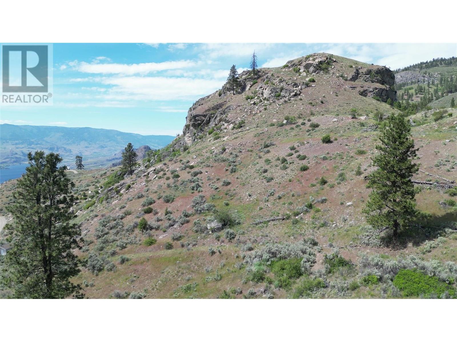 389 Chapman Road, Osoyoos, British Columbia  V0H 1V6 - Photo 22 - 10351073