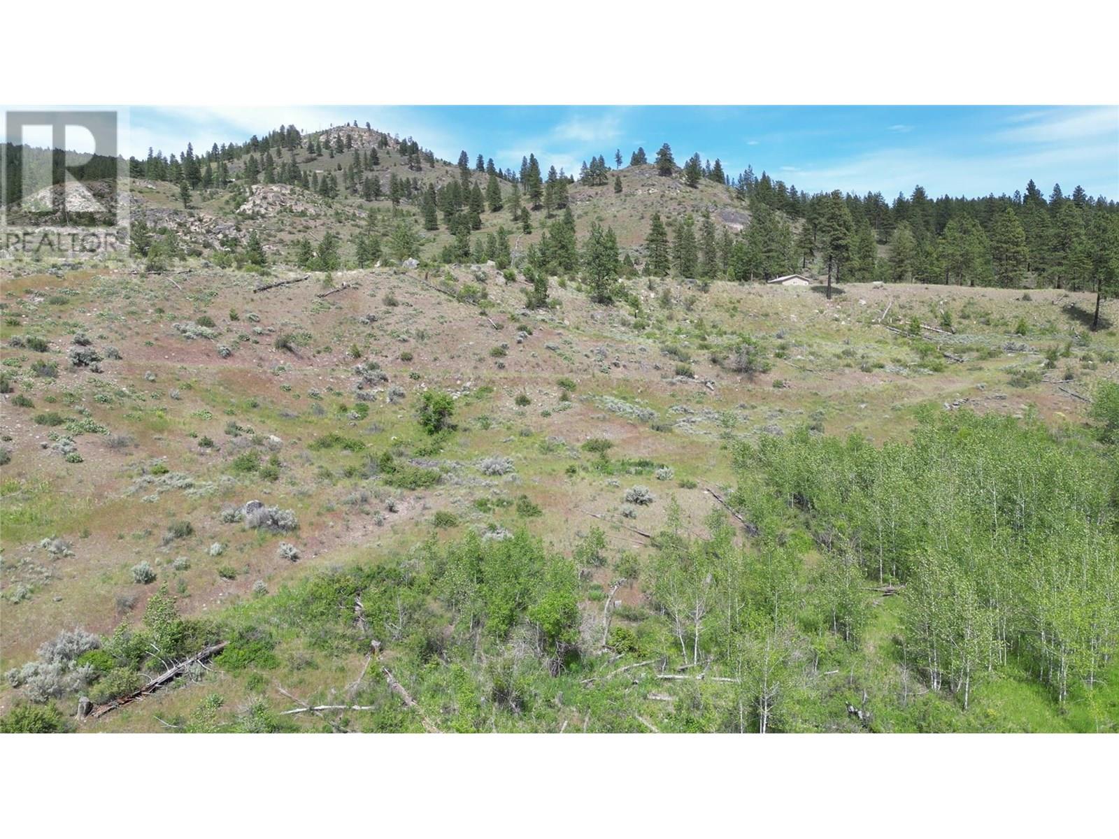389 Chapman Road, Osoyoos, British Columbia  V0H 1V6 - Photo 21 - 10351073