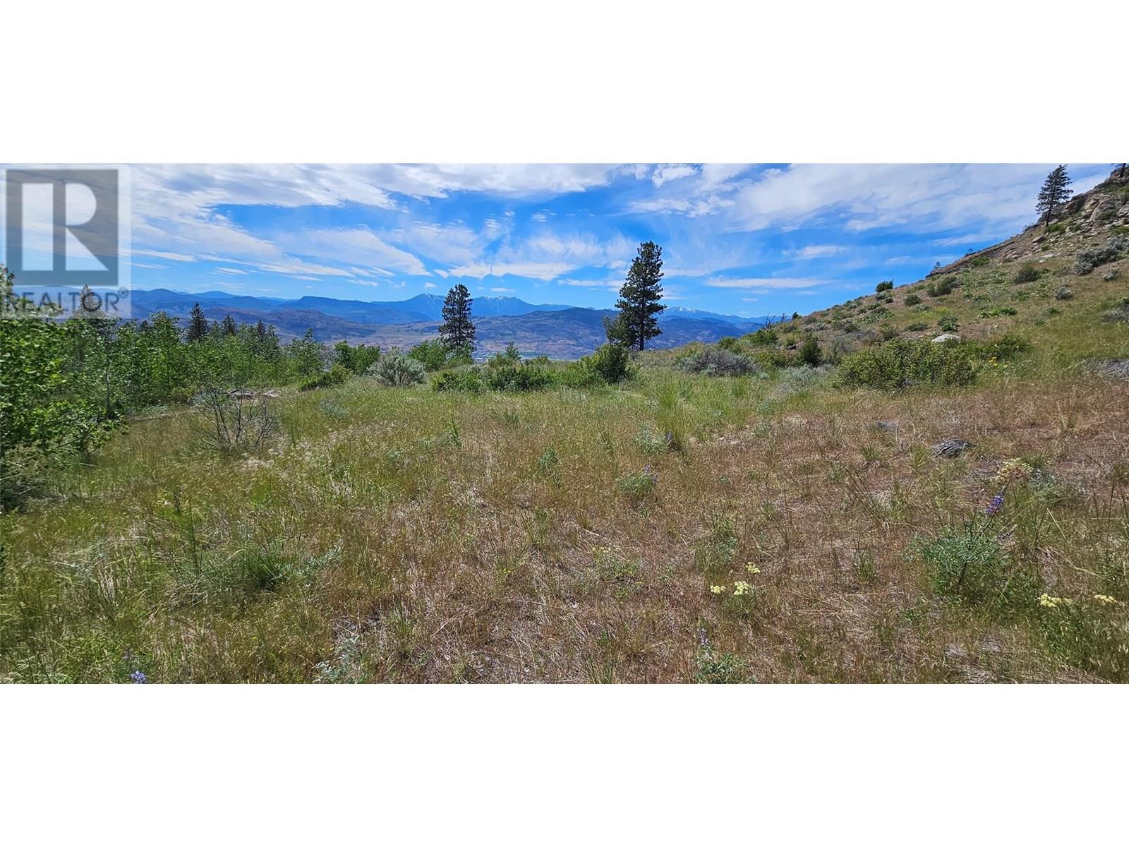 389 Chapman Road, Osoyoos, British Columbia  V0H 1V6 - Photo 23 - 10351073