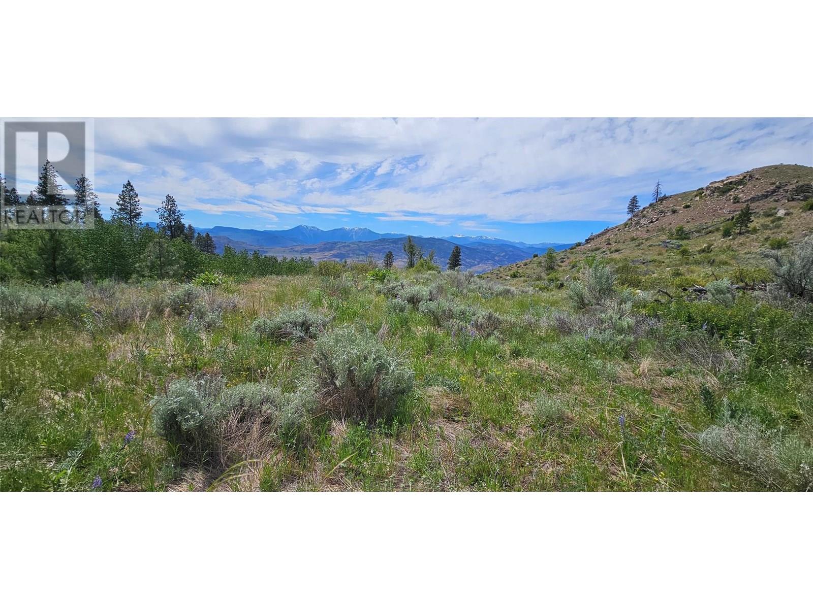 389 Chapman Road, Osoyoos, British Columbia  V0H 1V6 - Photo 28 - 10351073