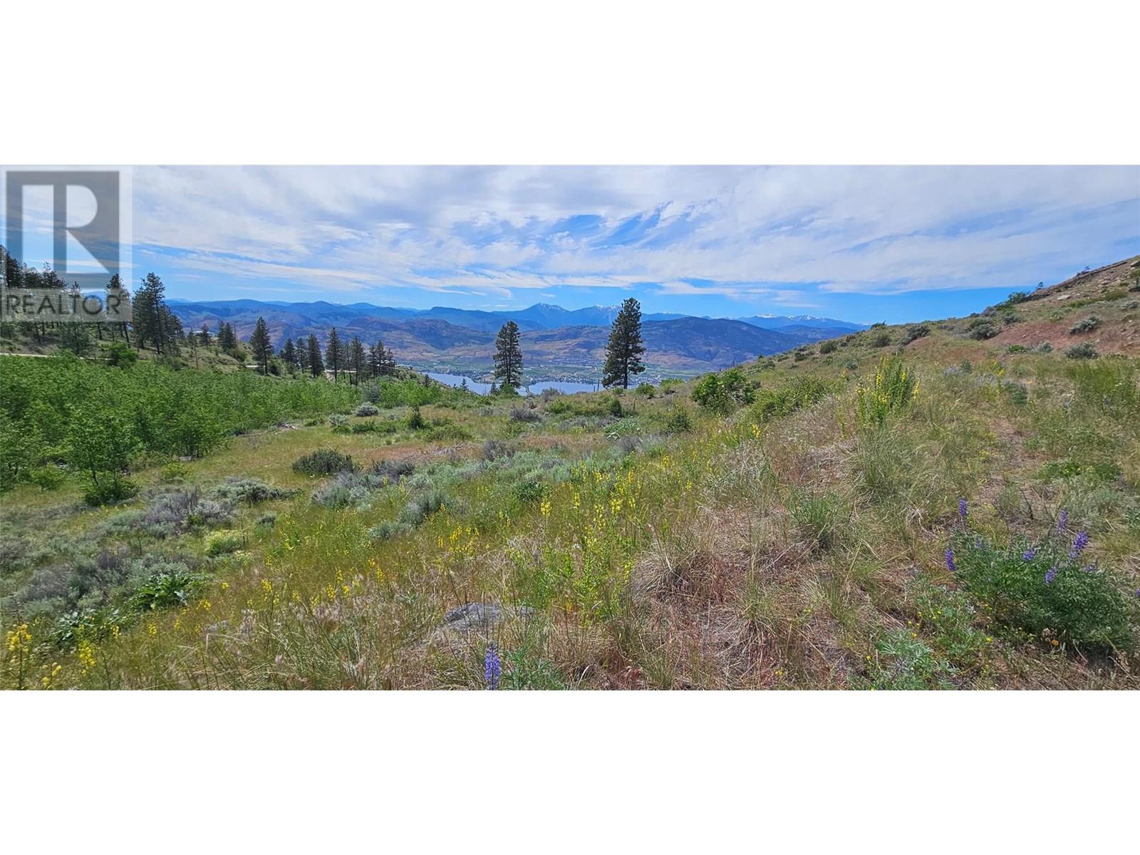 389 Chapman Road, Osoyoos, British Columbia  V0H 1V6 - Photo 27 - 10351073