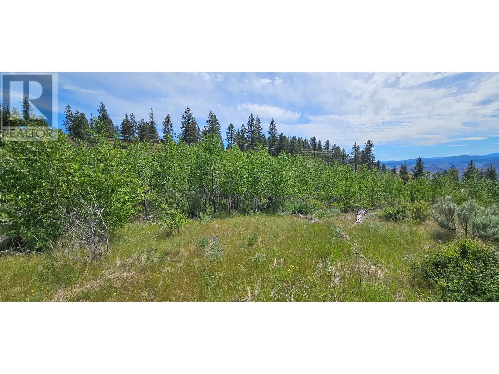 389 Chapman Road, Osoyoos, British Columbia  V0H 1V6 - Photo 26 - 10351073
