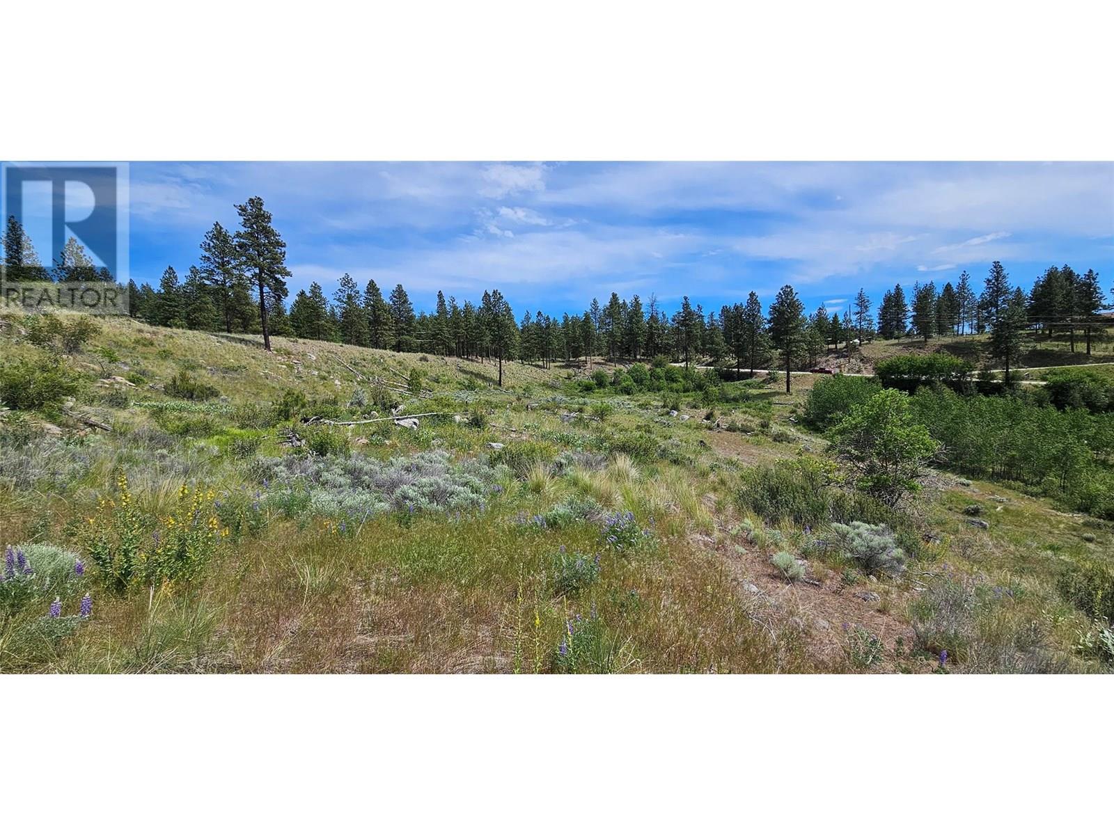 389 Chapman Road, Osoyoos, British Columbia  V0H 1V6 - Photo 25 - 10351073