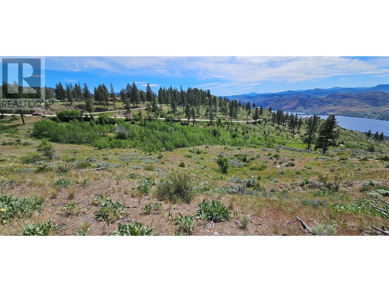 389 Chapman Road, Osoyoos, British Columbia  V0H 1V6 - Photo 24 - 10351073