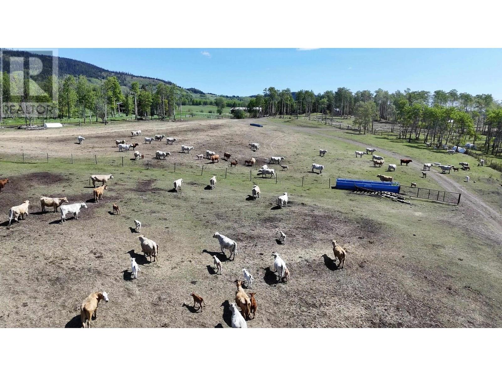 Colleymount Road, Burns Lake, British Columbia  V0J 1E2 - Photo 14 - C8069755