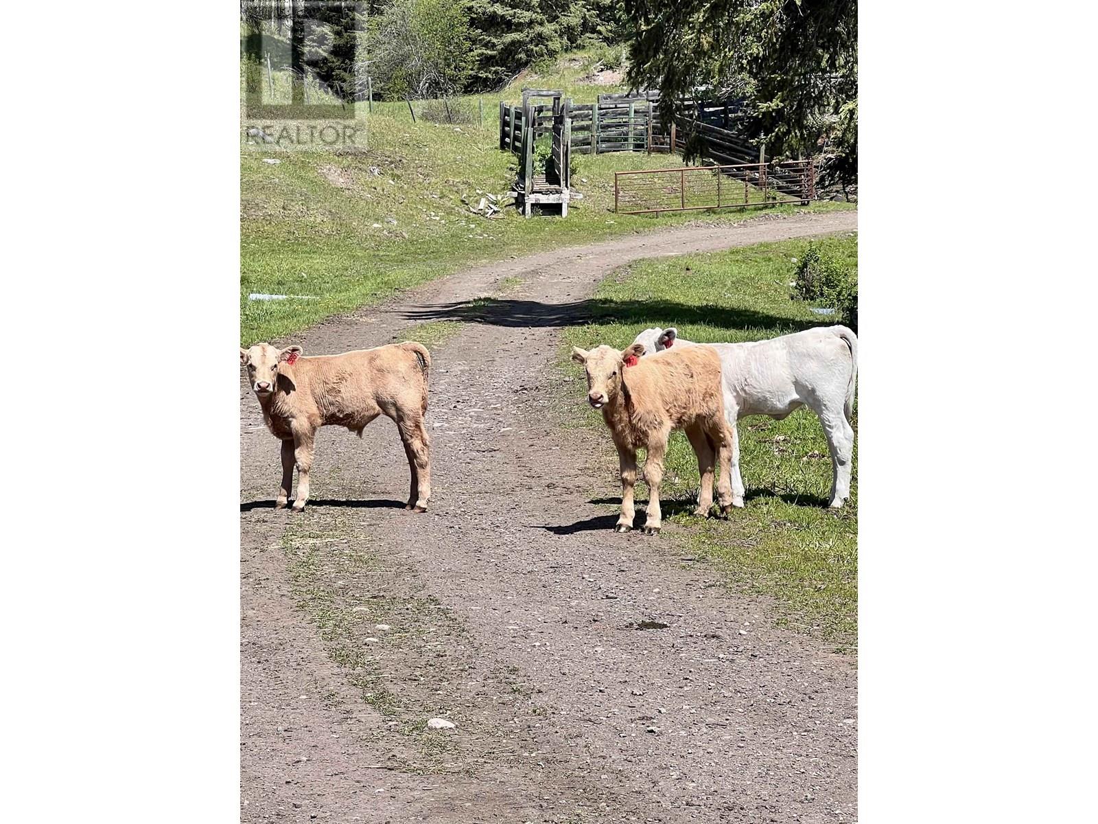Colleymount Road, Burns Lake, British Columbia  V0J 1E2 - Photo 34 - C8069755