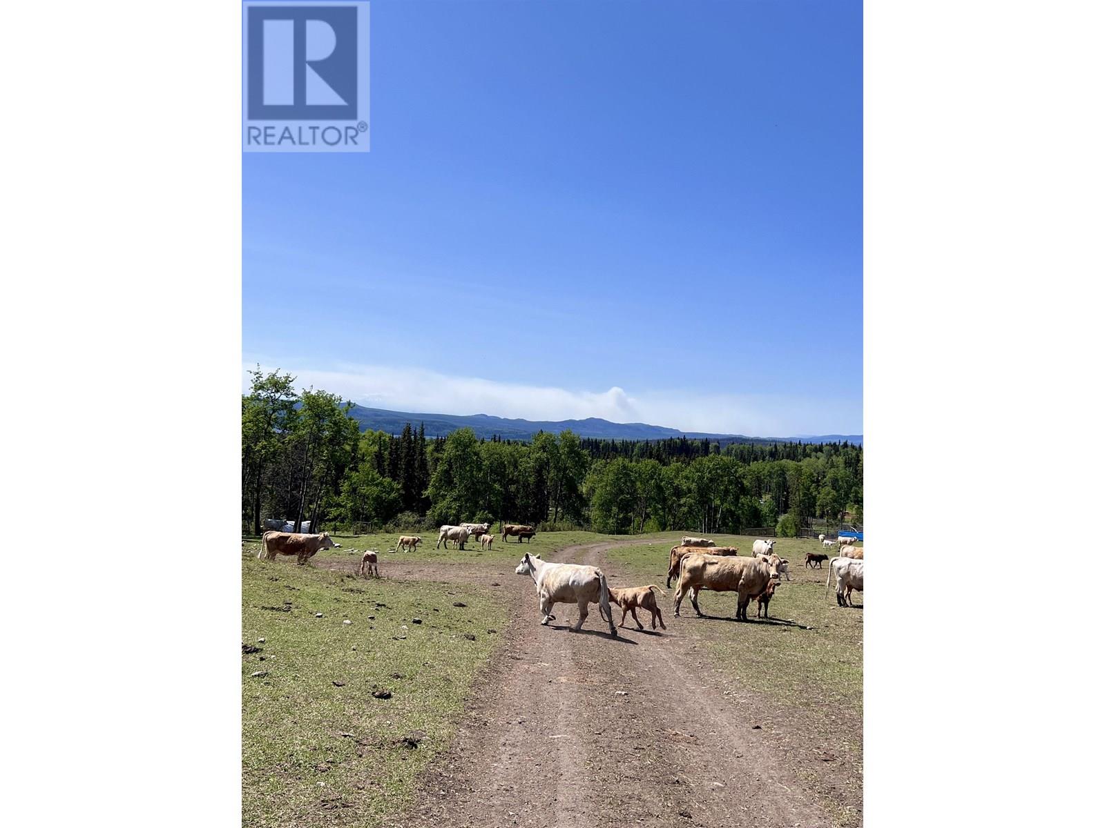 Colleymount Road, Burns Lake, British Columbia  V0J 1E2 - Photo 39 - C8069755